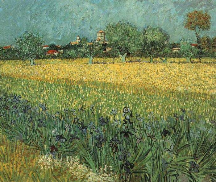 Vincent Van Gogh View of Arles with Irises